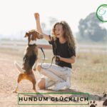 Hundetraining Baden bei Wien Hundeschule Hundetrainer