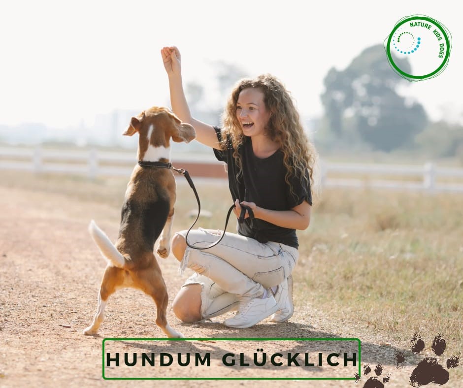 Hundetraining Baden bei Wien Hundeschule Hundetrainer