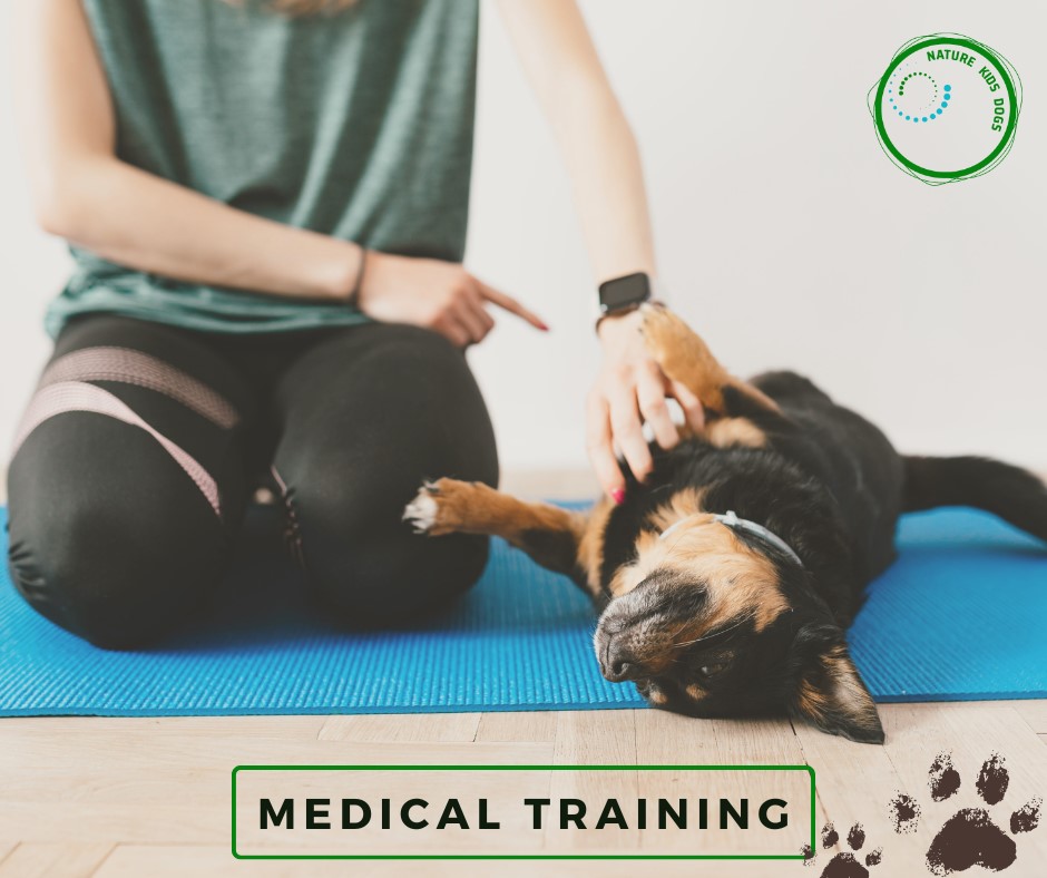 Webinar MEDICAL TRAINING