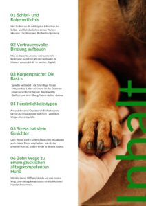 Workbook Welpen-Glückspaket