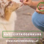 Antigiftköderkurs Hundeschule Baden bei Wien