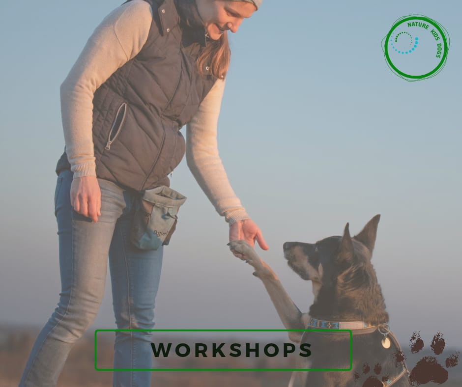 Hundetraining Baden bei Wien Workshops