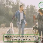 Hundebegegnungen social walk