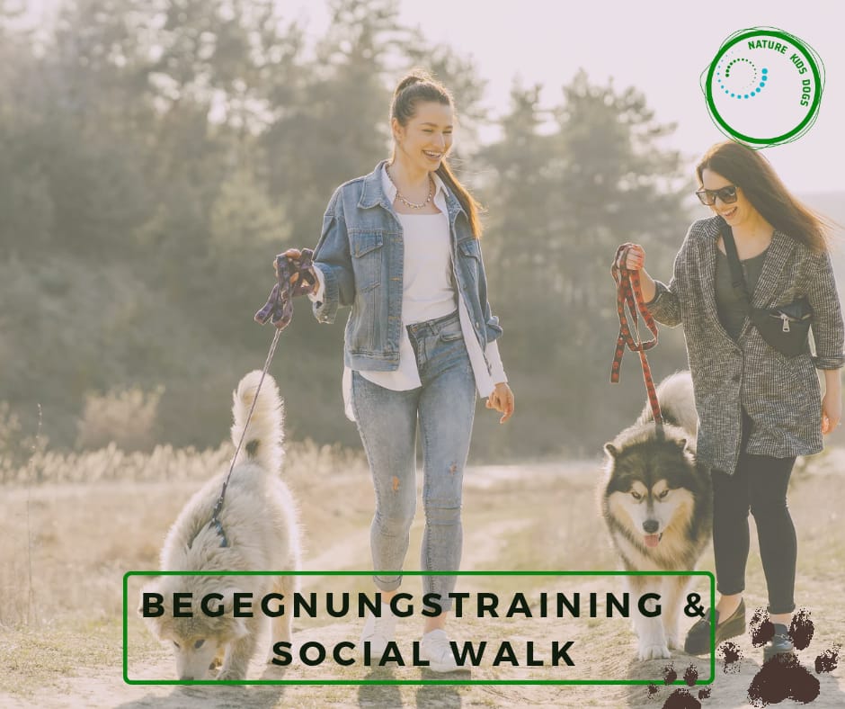 Hundebegegnungen social walk