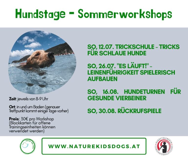 Leinenführigkeit Rückruf Tricks Hundeschule Hundefitness